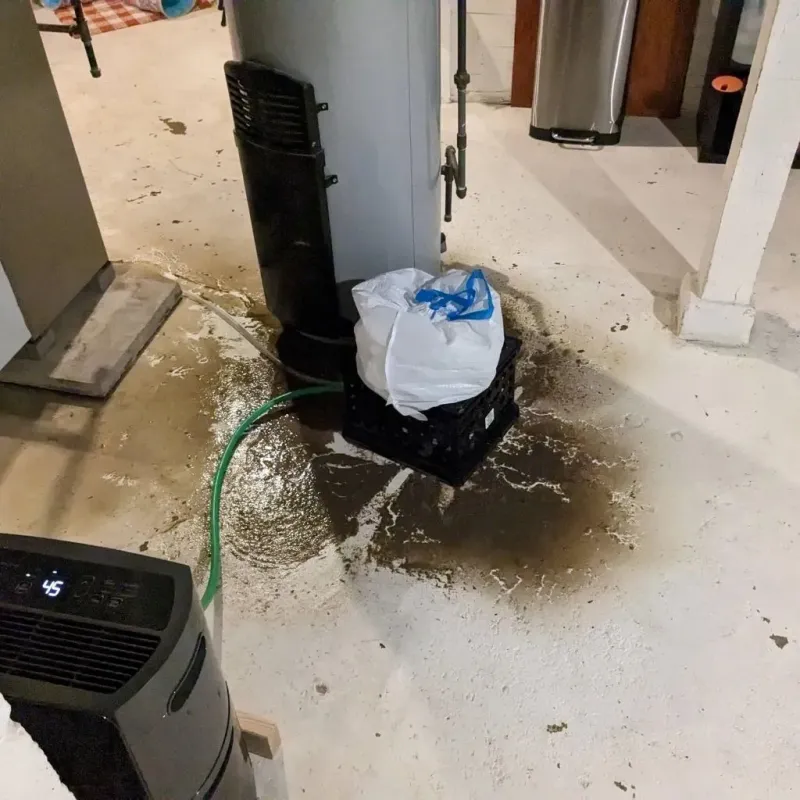 Sewage Backup Cleanup Service in Folkston, GA